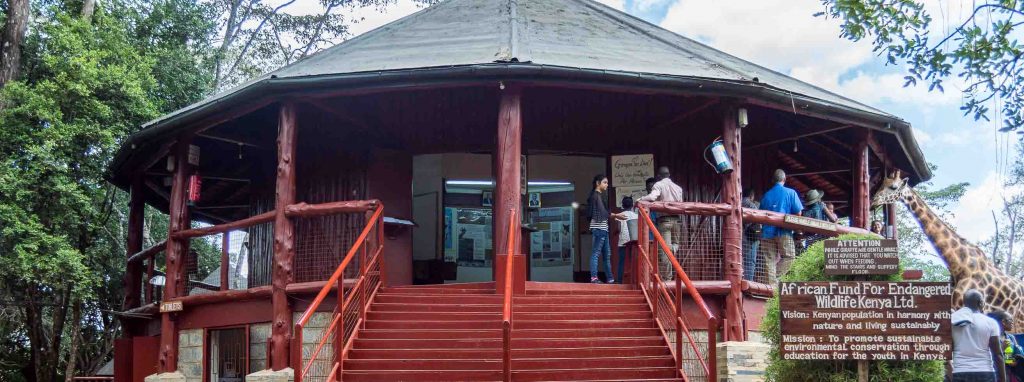 Giraffe Centre