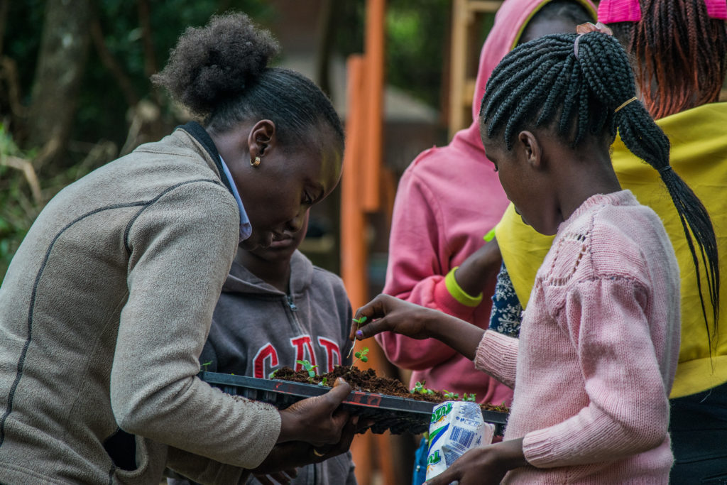 CEO Giving students seedlings